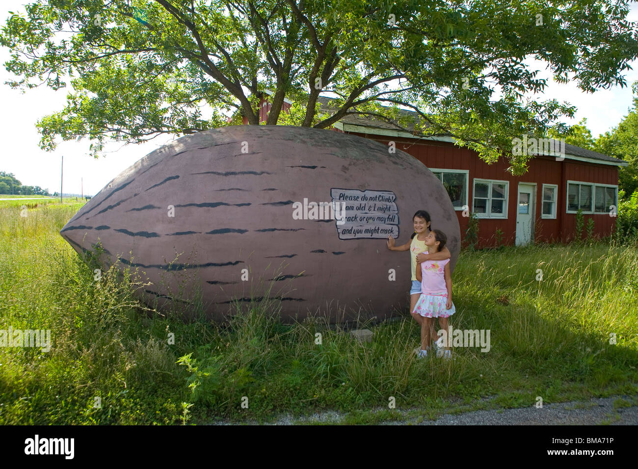 World's Largest Pecan near Brunswick, Missouri Stock Photo Alamy