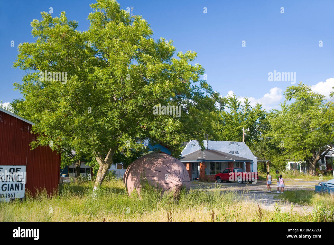 World's Largest Pecan near Brunswick, Missouri Stock Photo Alamy