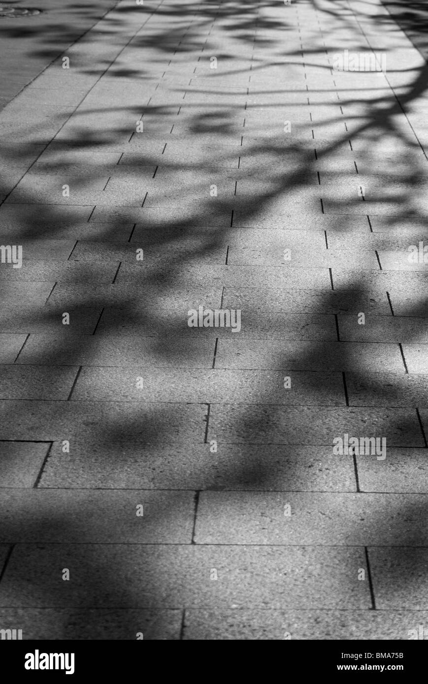 Tree shadows in Avenue de Friedland Paris, France Stock Photo