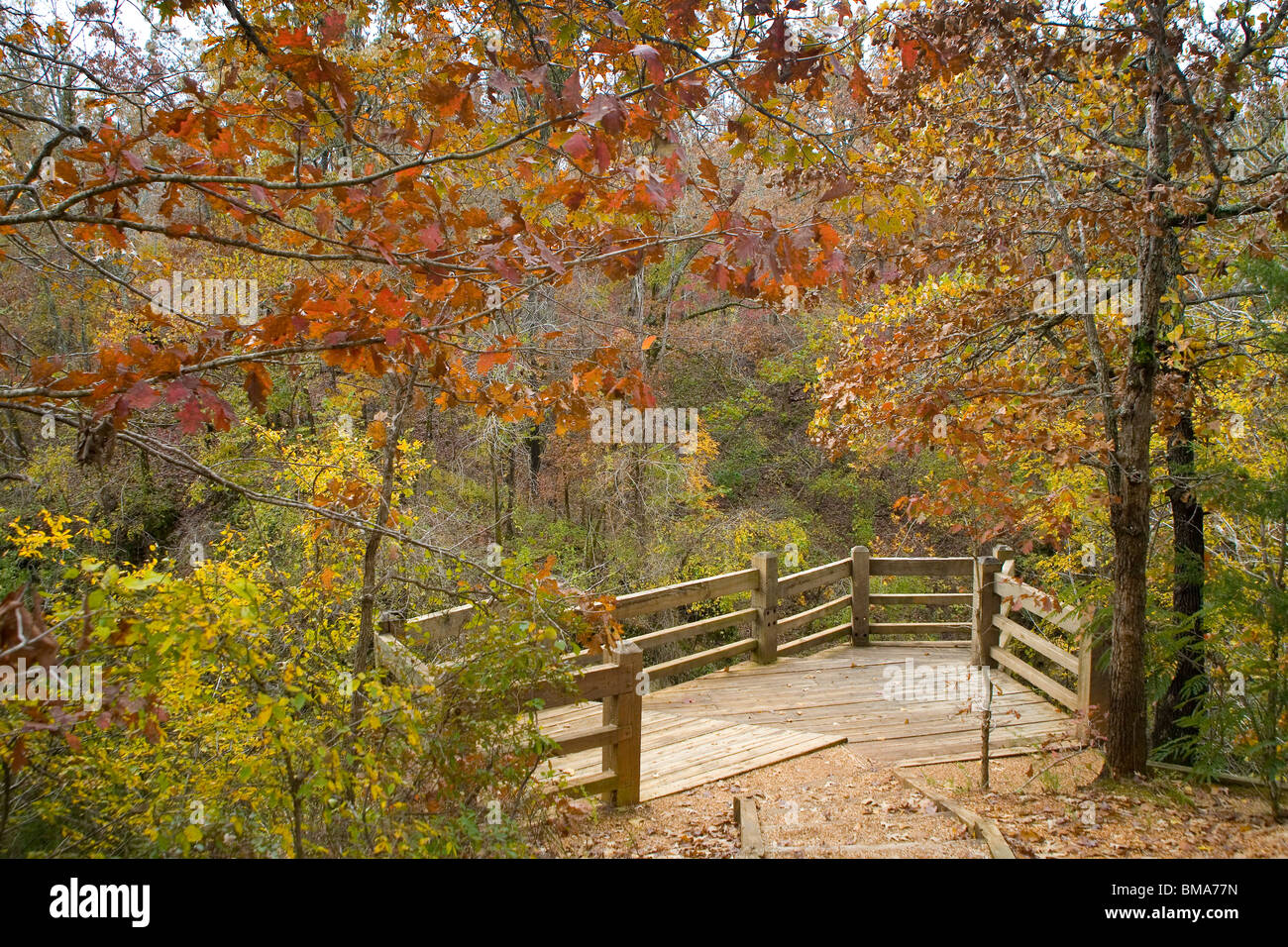 Grand Gulf State Park near Thayer, Missouri in autumn Stock Photo