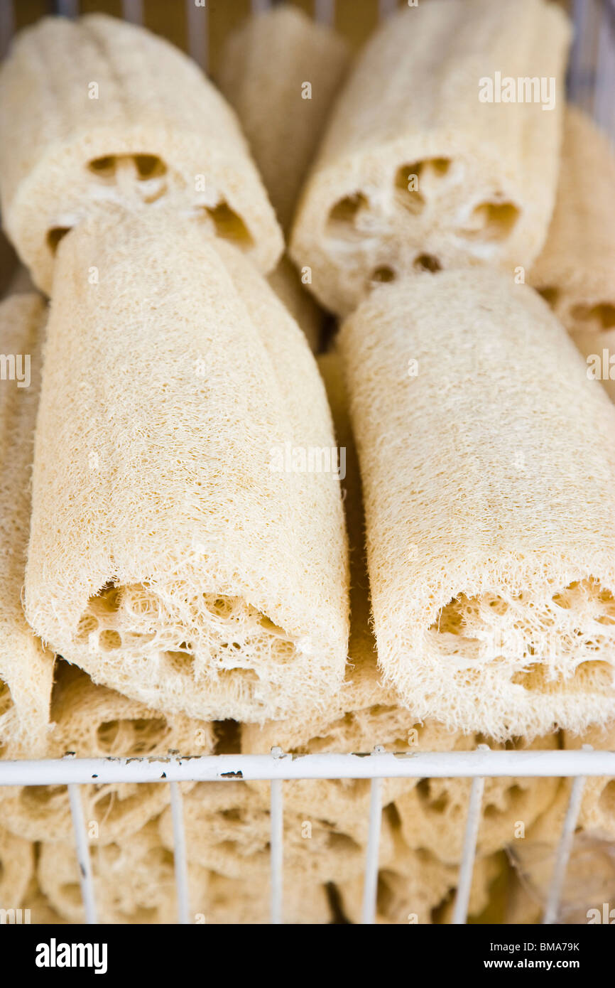 Sea sponges at street market, Tarpon Springs, Florida, USA Stock Photo
