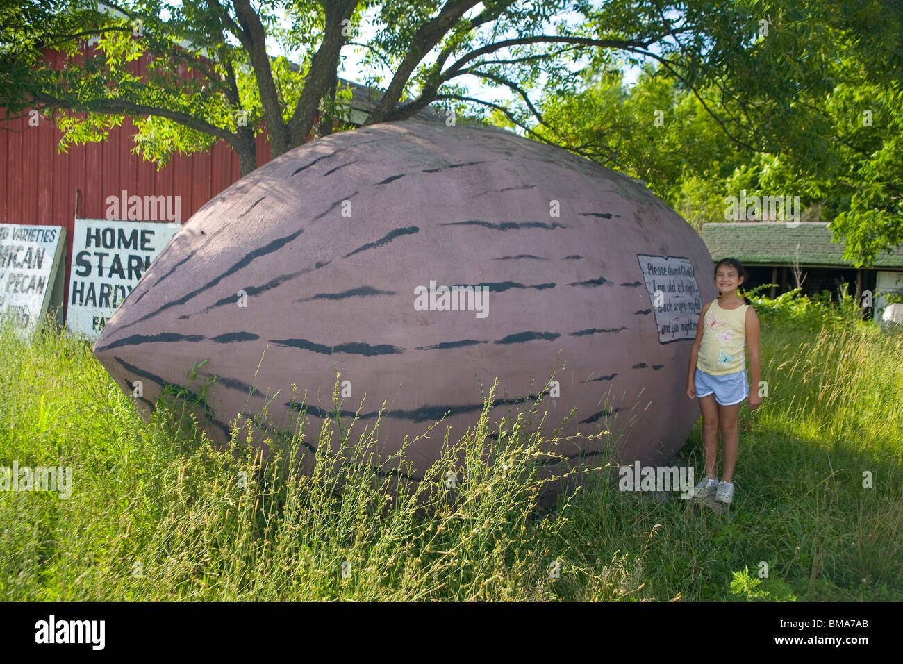 World's Largest Pecan near Brunswick, Missouri Stock Photo Alamy
