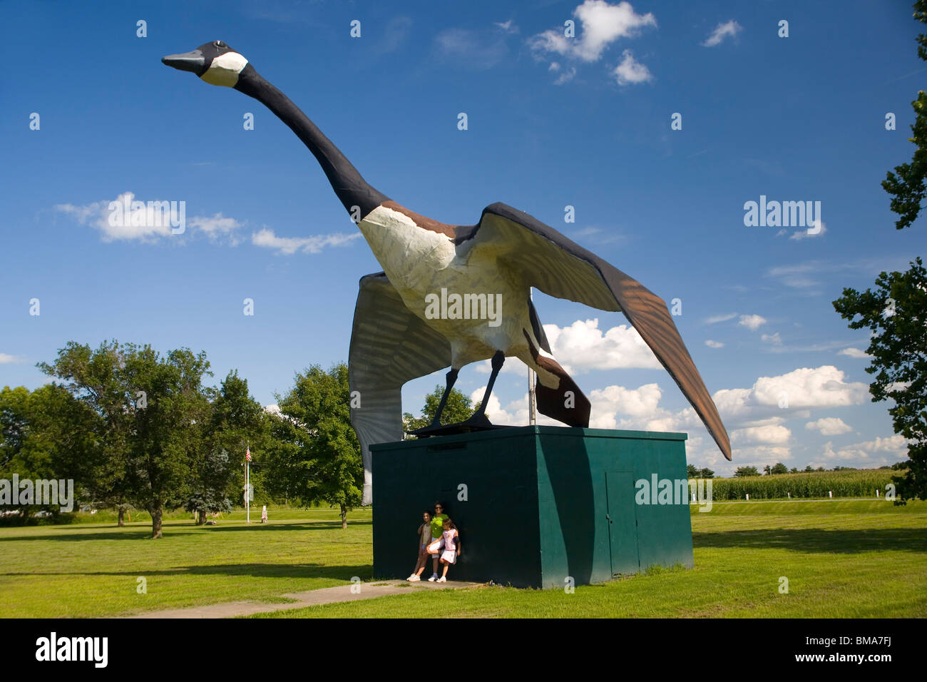 Maxie World's Largest Goose Stock Photo Alamy