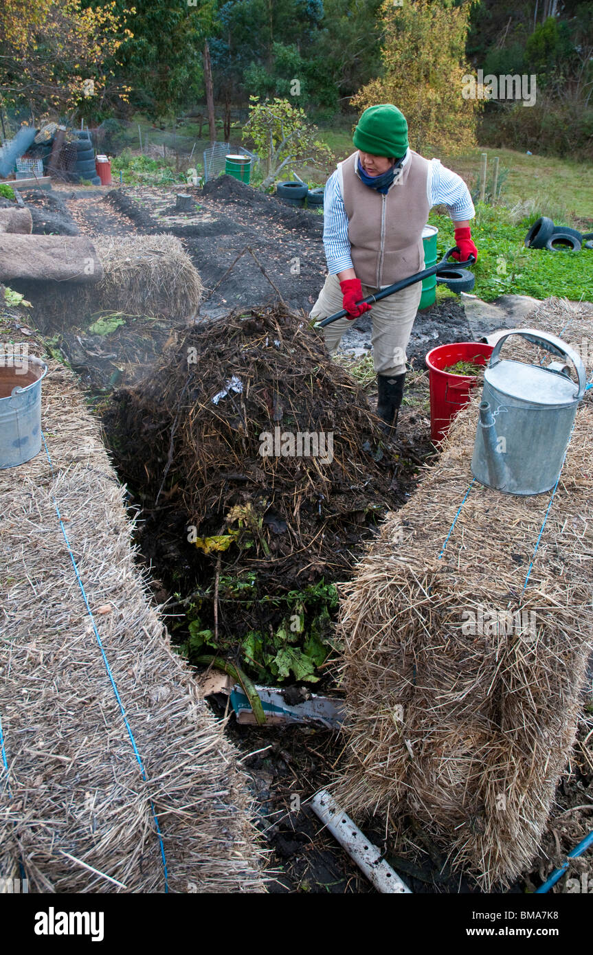 Woman turning a compost heap worm farm set amongst hay bales Stock