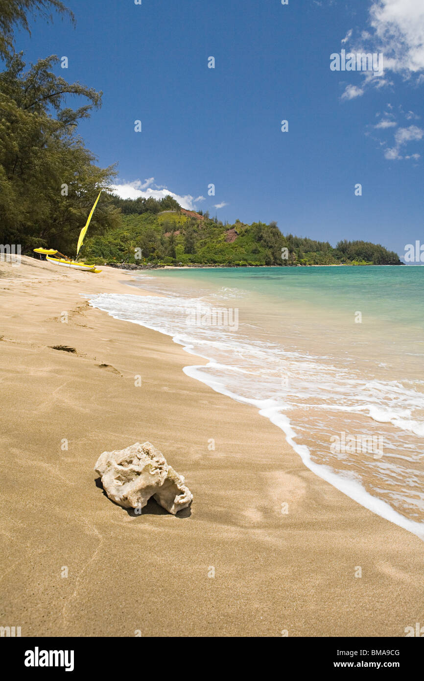 Beach in kauai Stock Photo