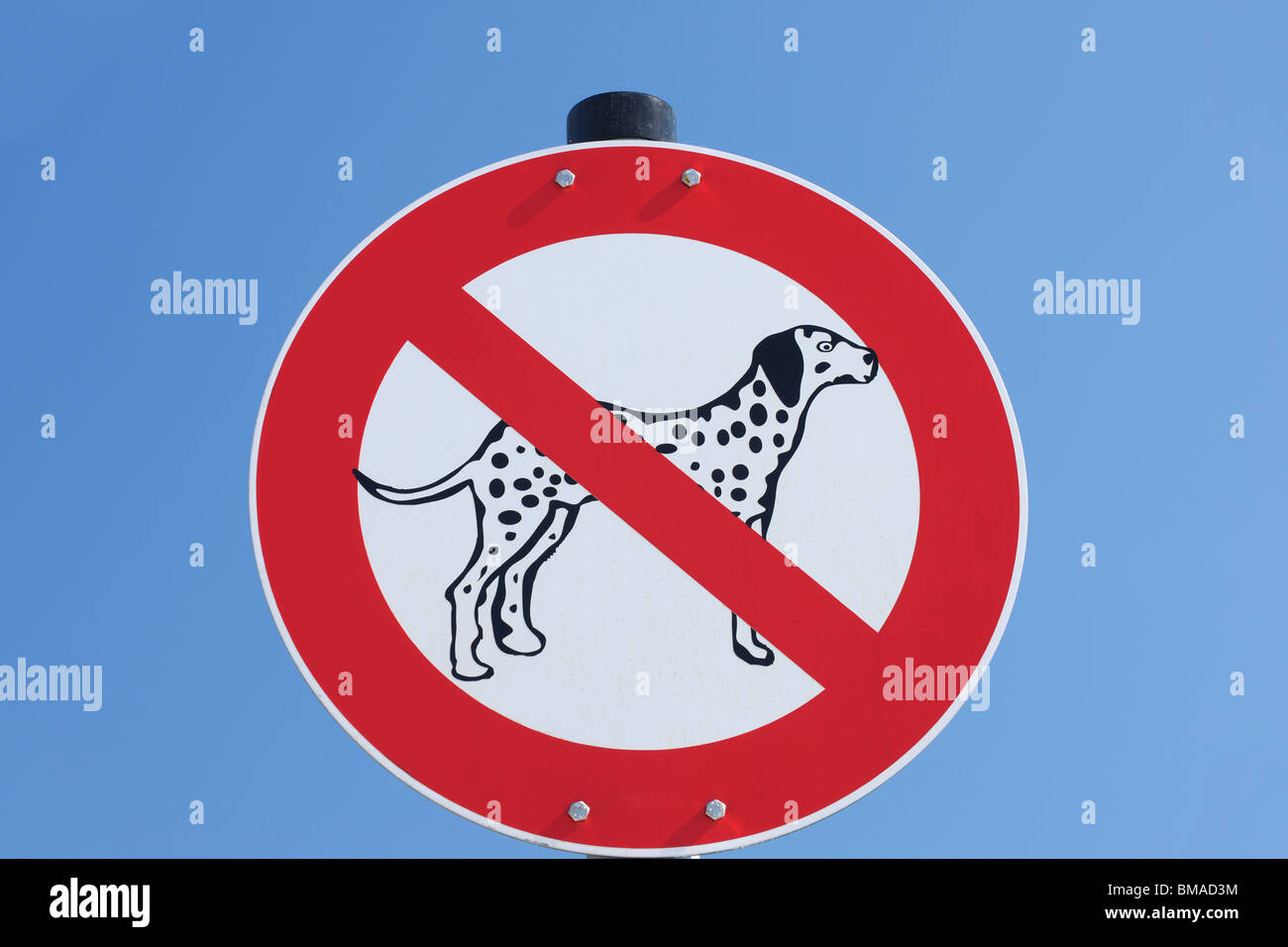 No Dogs Allowed Sign, Lake Chiemsee, Gstadt, Bavaria, Germany Stock