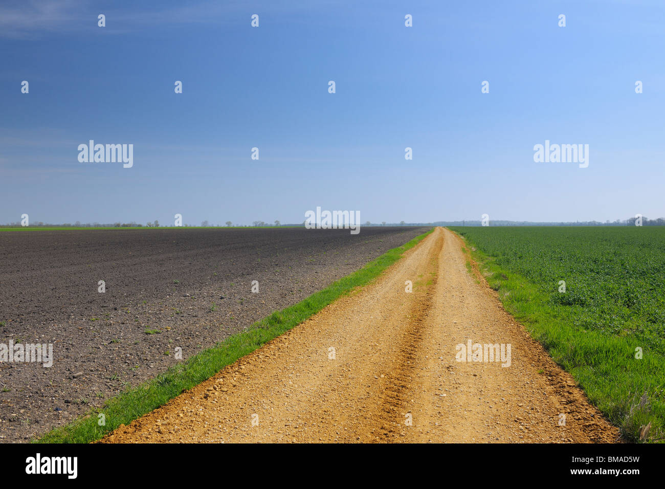 Path through fields in spring, Tadten, Burgenland, Austria Stock Photo ...