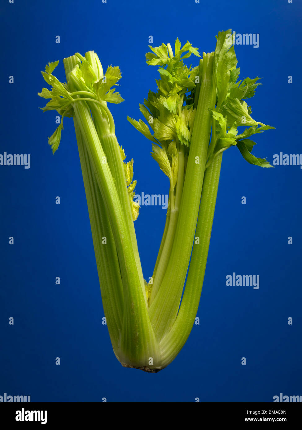 food letter V Stock Photo Alamy