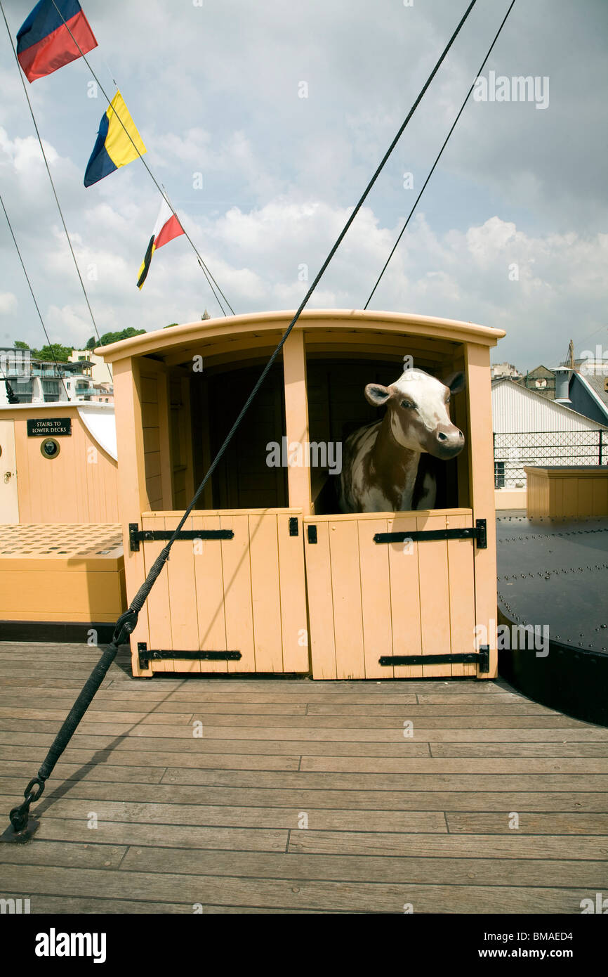 Cow on deck, SS Great Britain maritime museum, Bristol, England Stock Photo