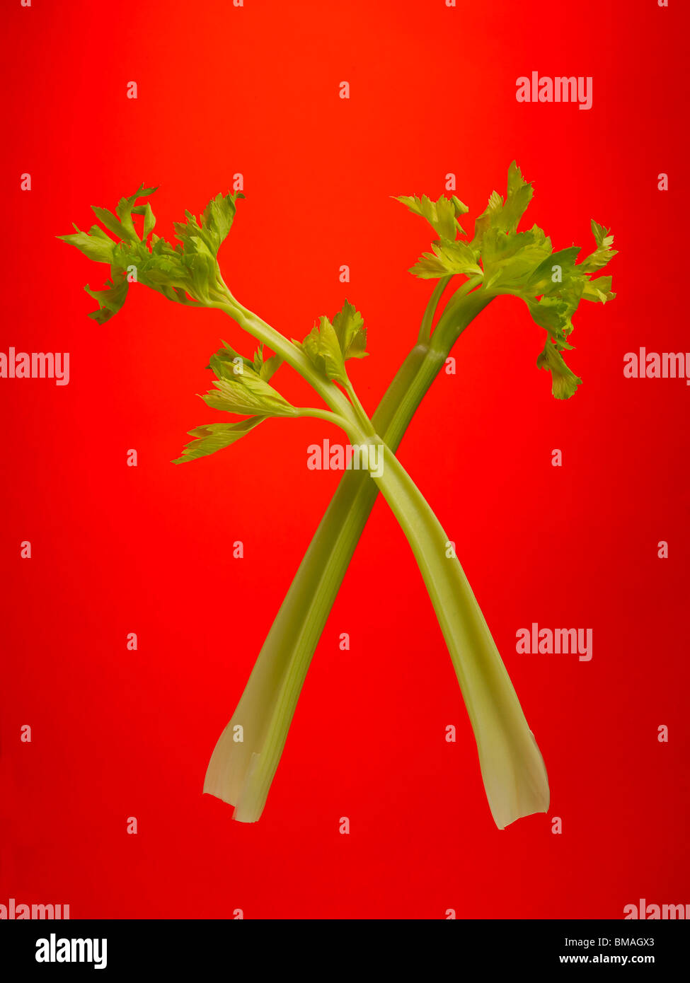 food letter X Stock Photo Alamy