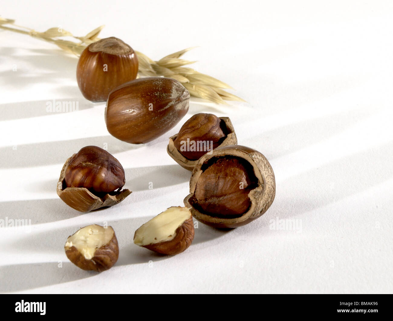 Hazelnuts and oats Stock Photo