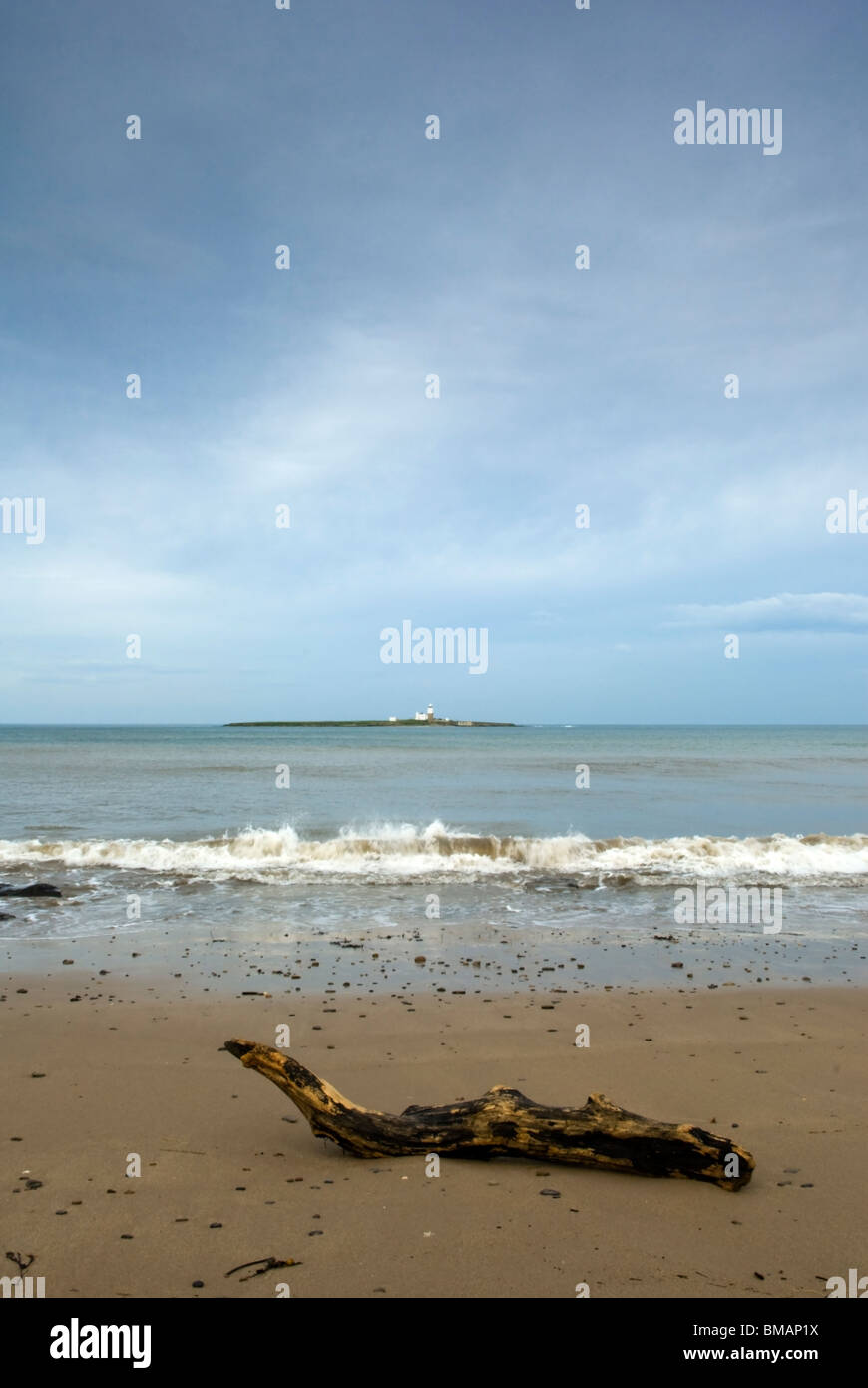 Driftwood on the beach at Druridge Bay, Northumberland, England Stock Photo Alamy