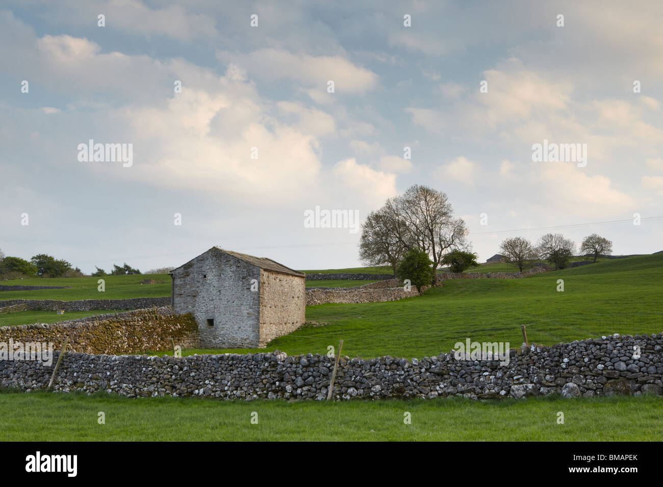 Yorkshire Dales stone barns and walls lit by the evening sun in Wharfedale, England Stock Photo