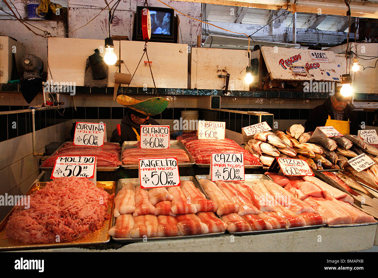 Display of fresh seafood on sale at the famous ENSENADA ,fish market.A popular tourist attraction,Baja California,Mexico. Stock Photo