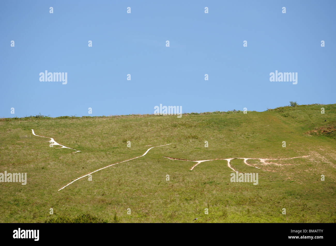 The Whitehawk hawk a chalk bird drawn into the South Downs on the outskirts of Brighton Stock Photo