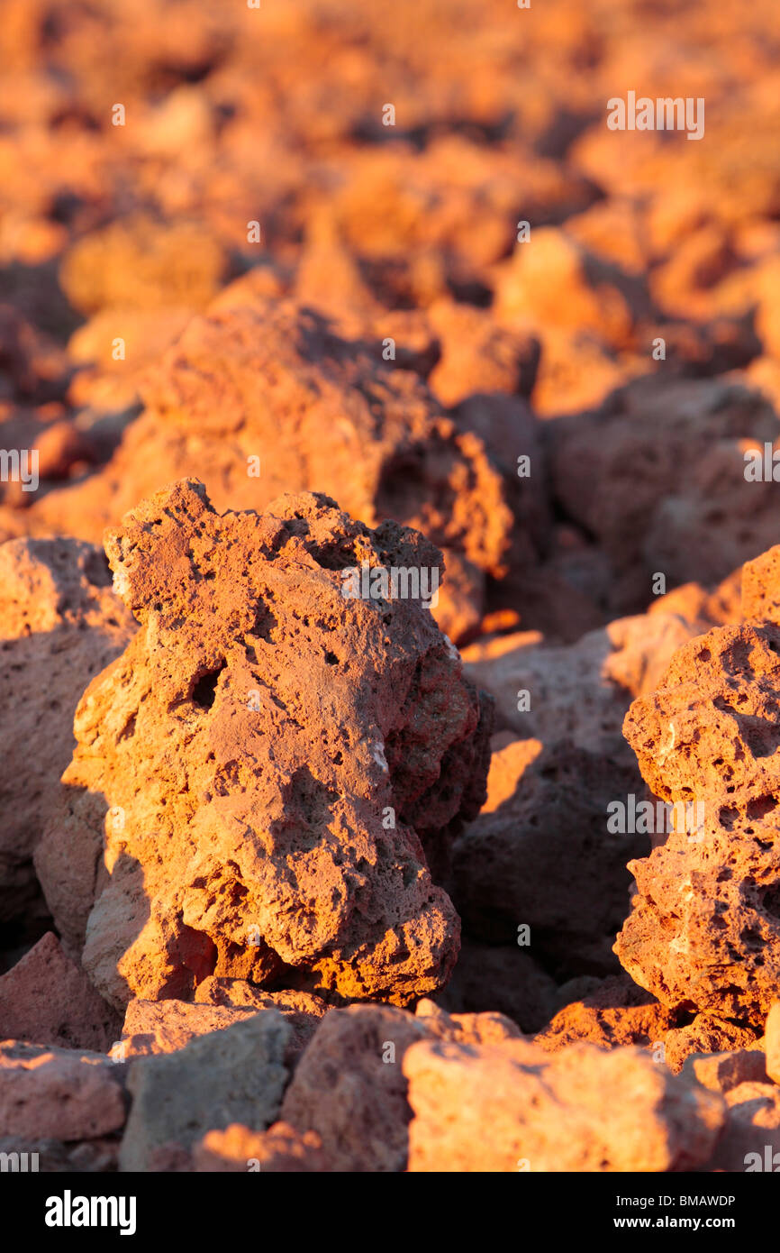 Fields of pumice stone glowing red with the warm late evening sun at the base of Teide Tenerife Canary Islands Spain Stock Photo