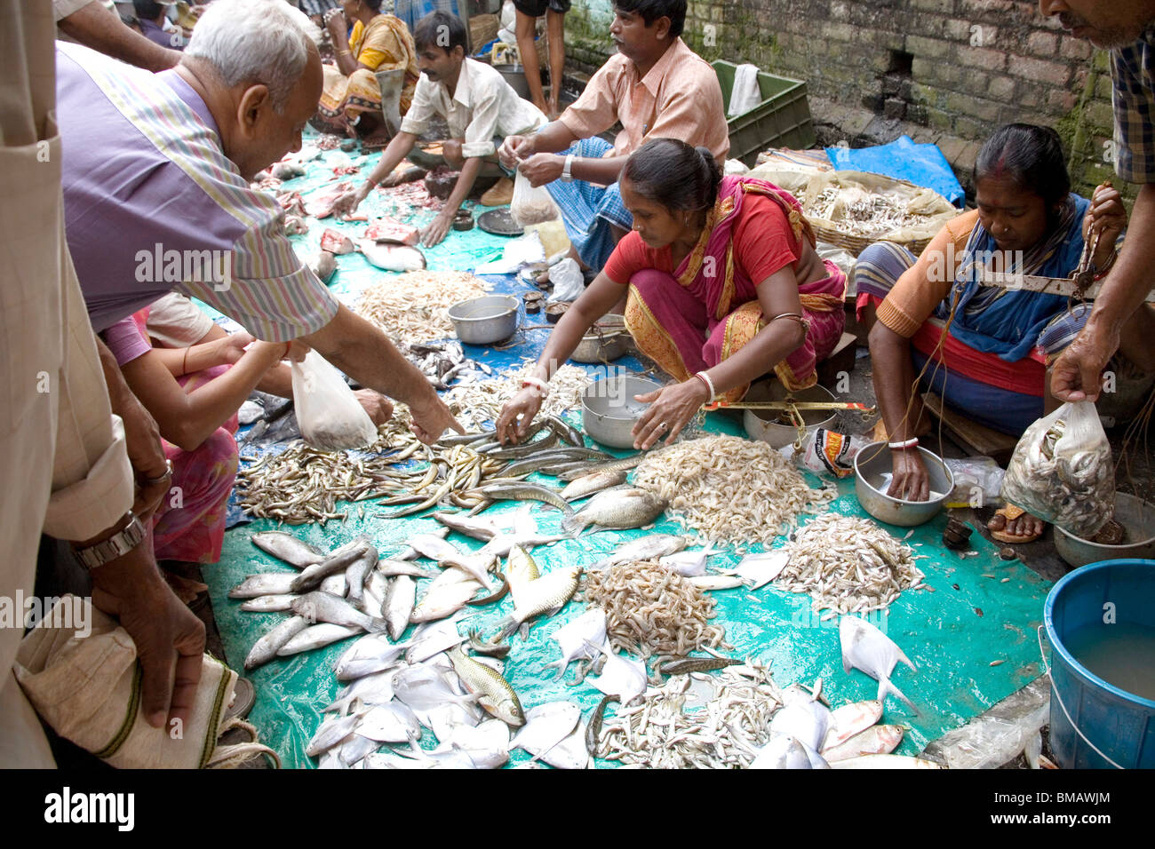 Women selling fish in fish market ; Calcutta now Kolkata ; West Bengal