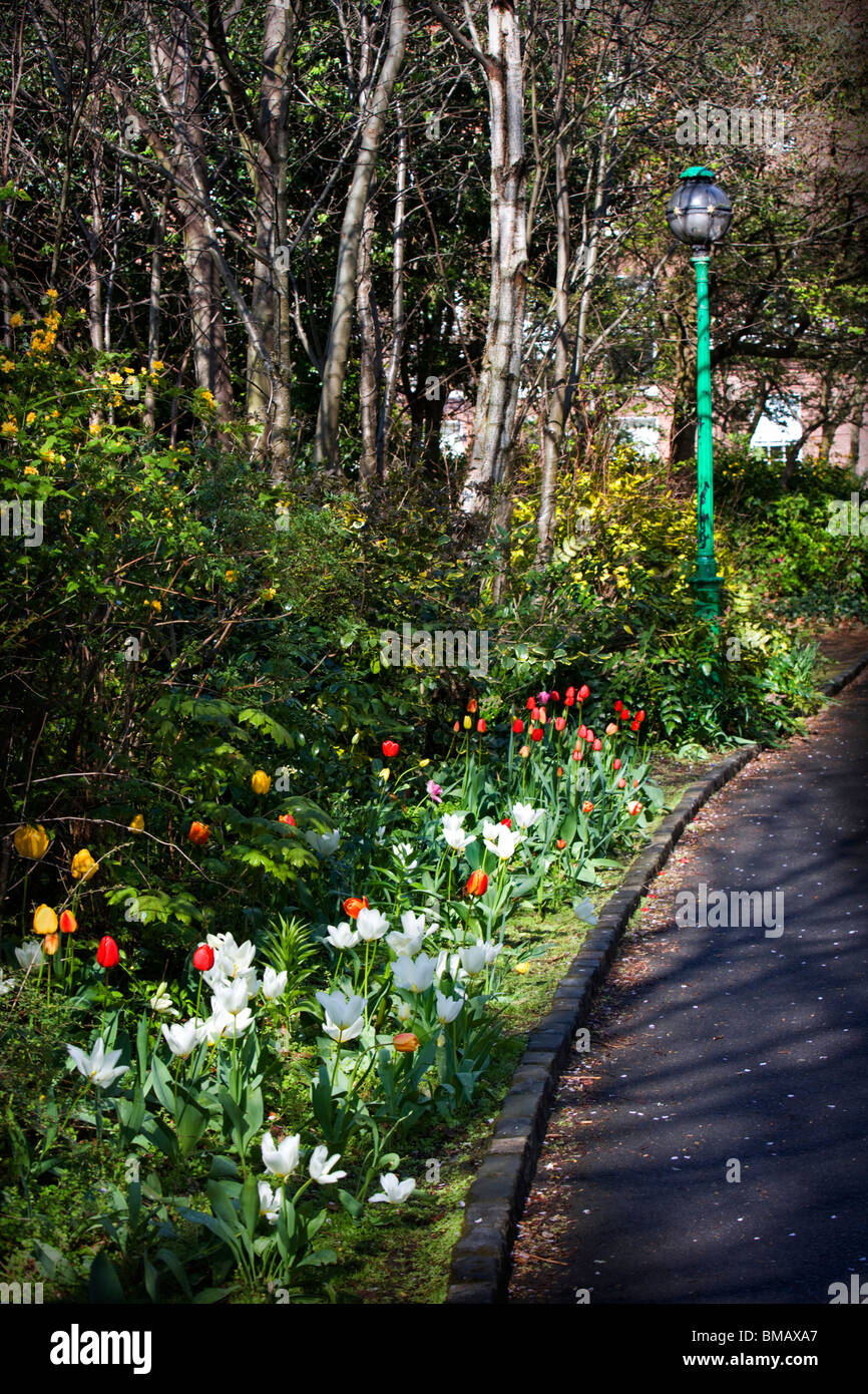 Spring Flowers Lining A Formal Driveway Stock Photo Alamy