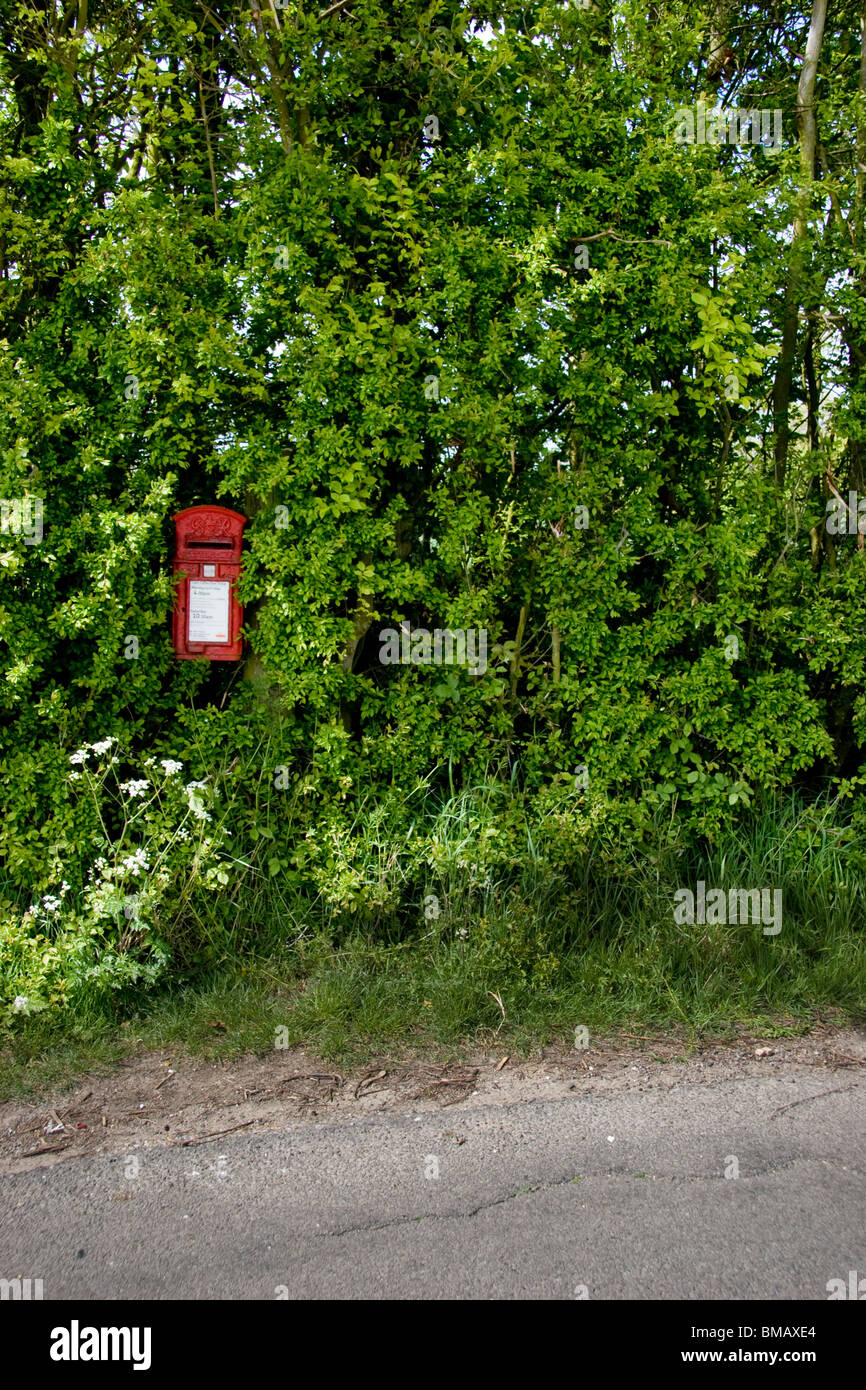 Old post box strapped to a tree in Edwardstone Suffolk England and still in use. Stock Photo