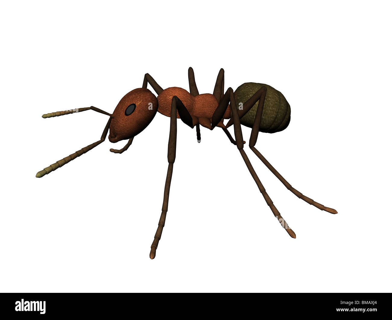 3D illustration of an ant Stock Photo