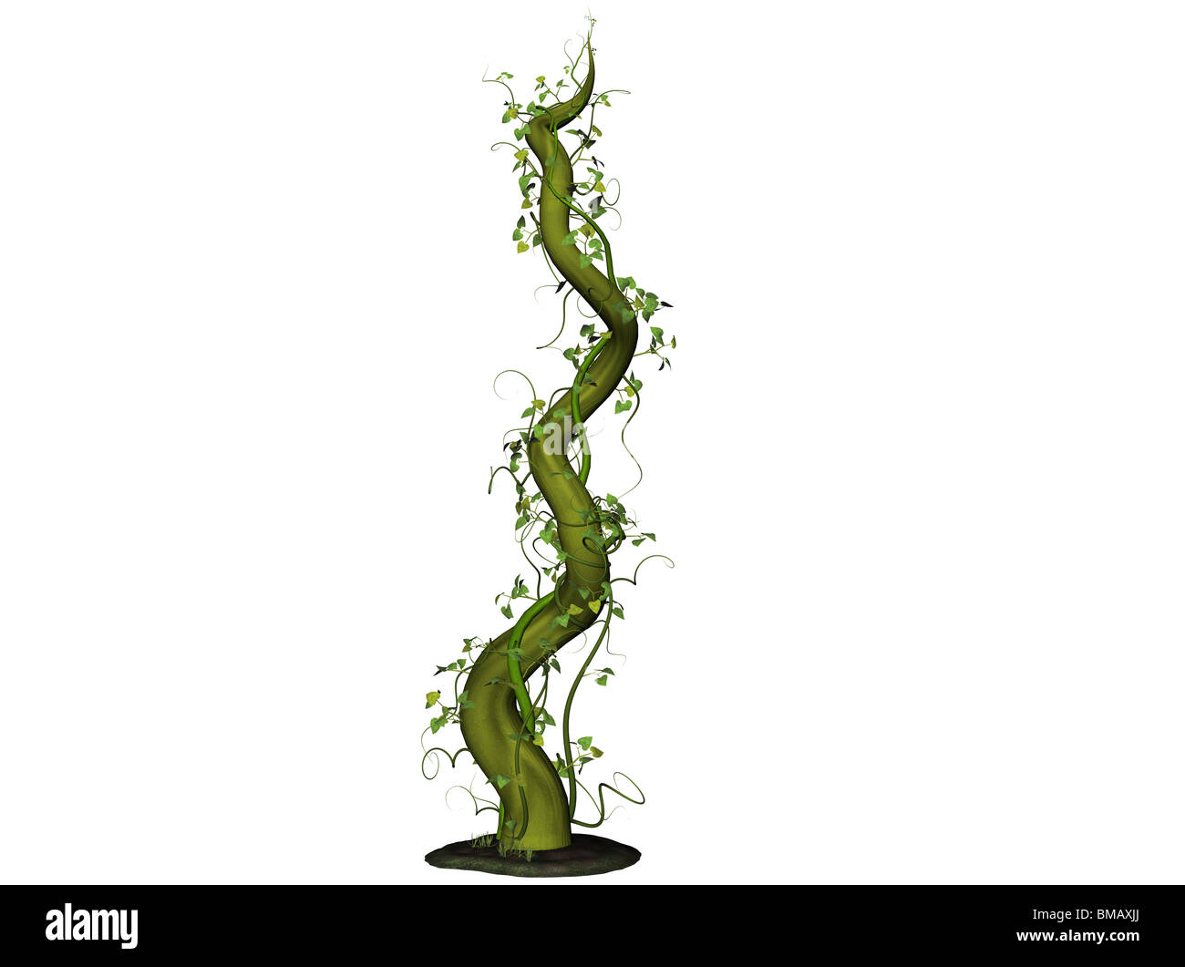 Isolated 3D Illustration of a bean stalk Stock Photo