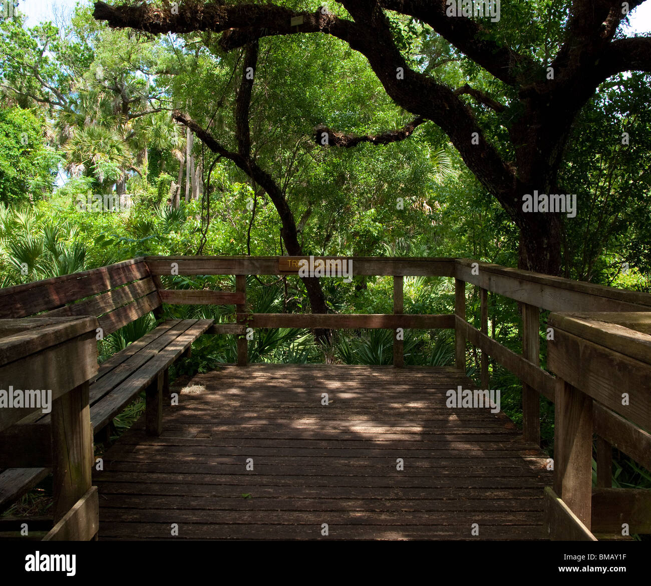 Turkey Creek flows into the Indian River Lagoon at Palm Bay in Florida