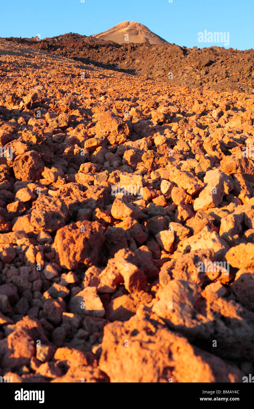 Fields of pumice stone and lava glowing red with the warm late evening sun at the base of Teide Tenerife Canary Islands Spain Stock Photo