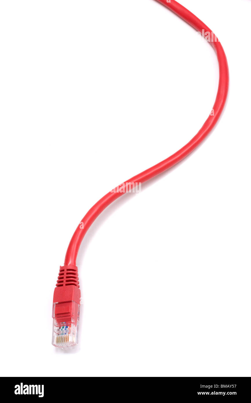 Computer Network Cable isolated on white background Stock Photo - Alamy