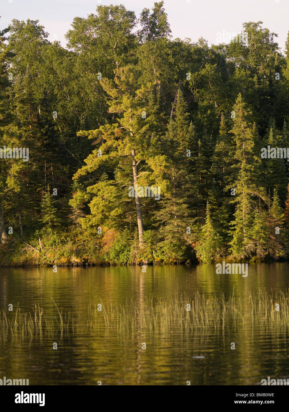 Nature lakes no one has scenic scenery outdoor trees tourism hires