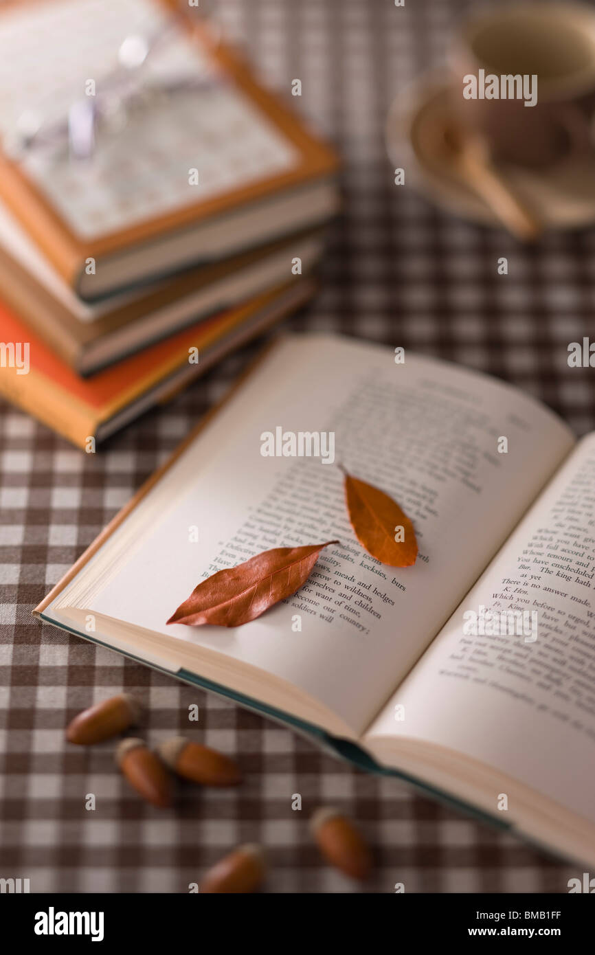 Leaf, Acorn and Book Stock Photo