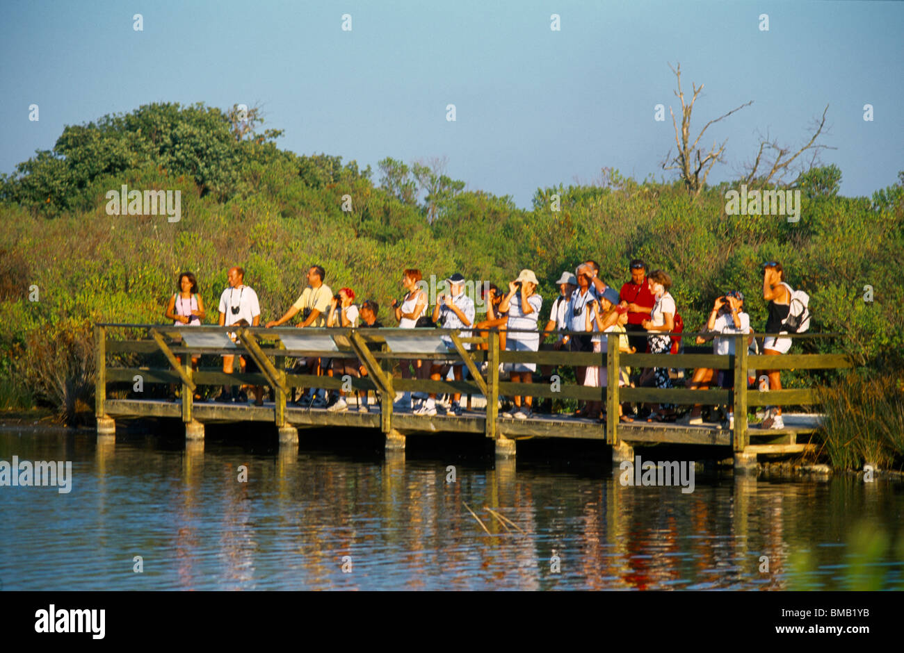 Le Teich France Parc Ornithologique Du Teich Nature Reserve People Bird