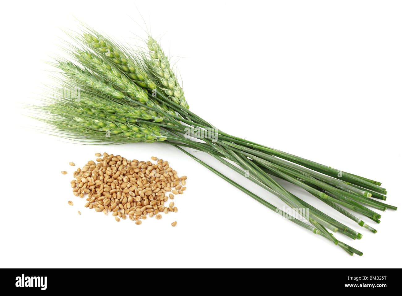 Wheat seeds and plant on white background Stock Photo