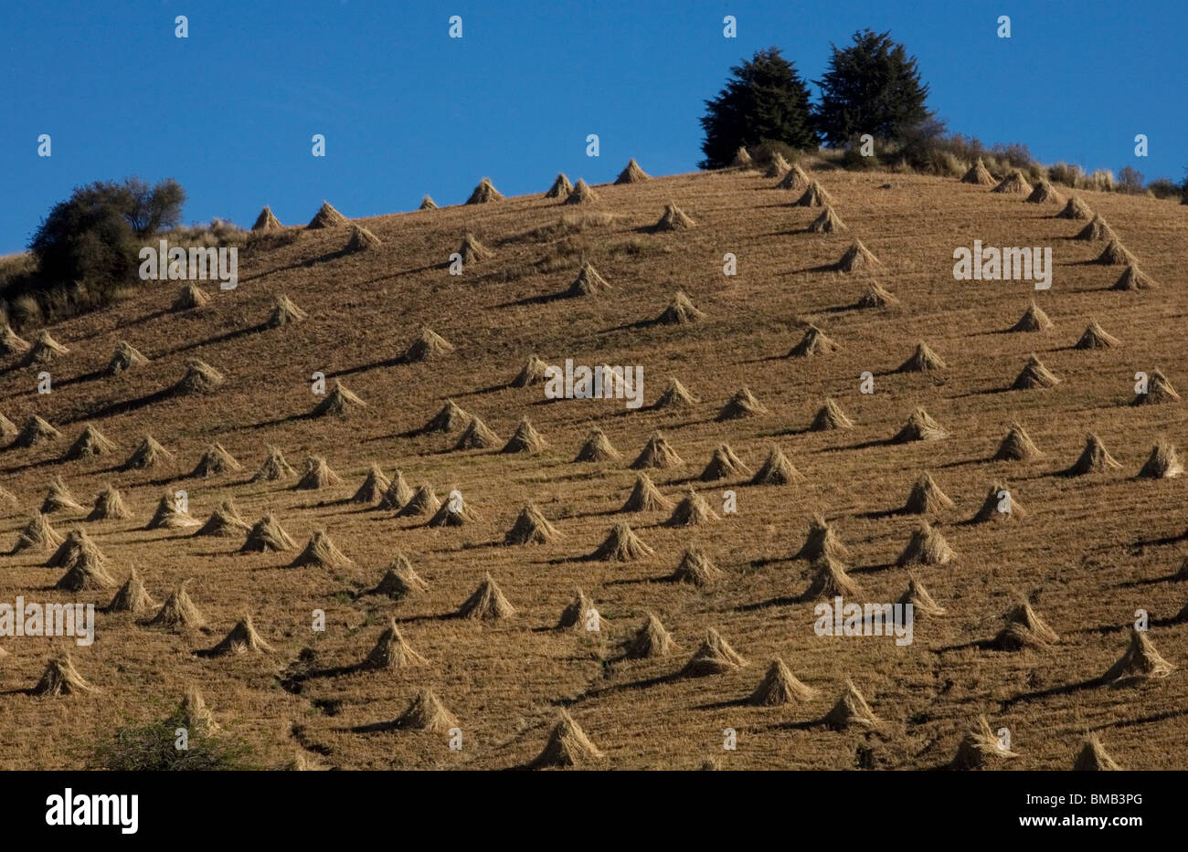 Farm fields at morelos hires stock photography and images Alamy