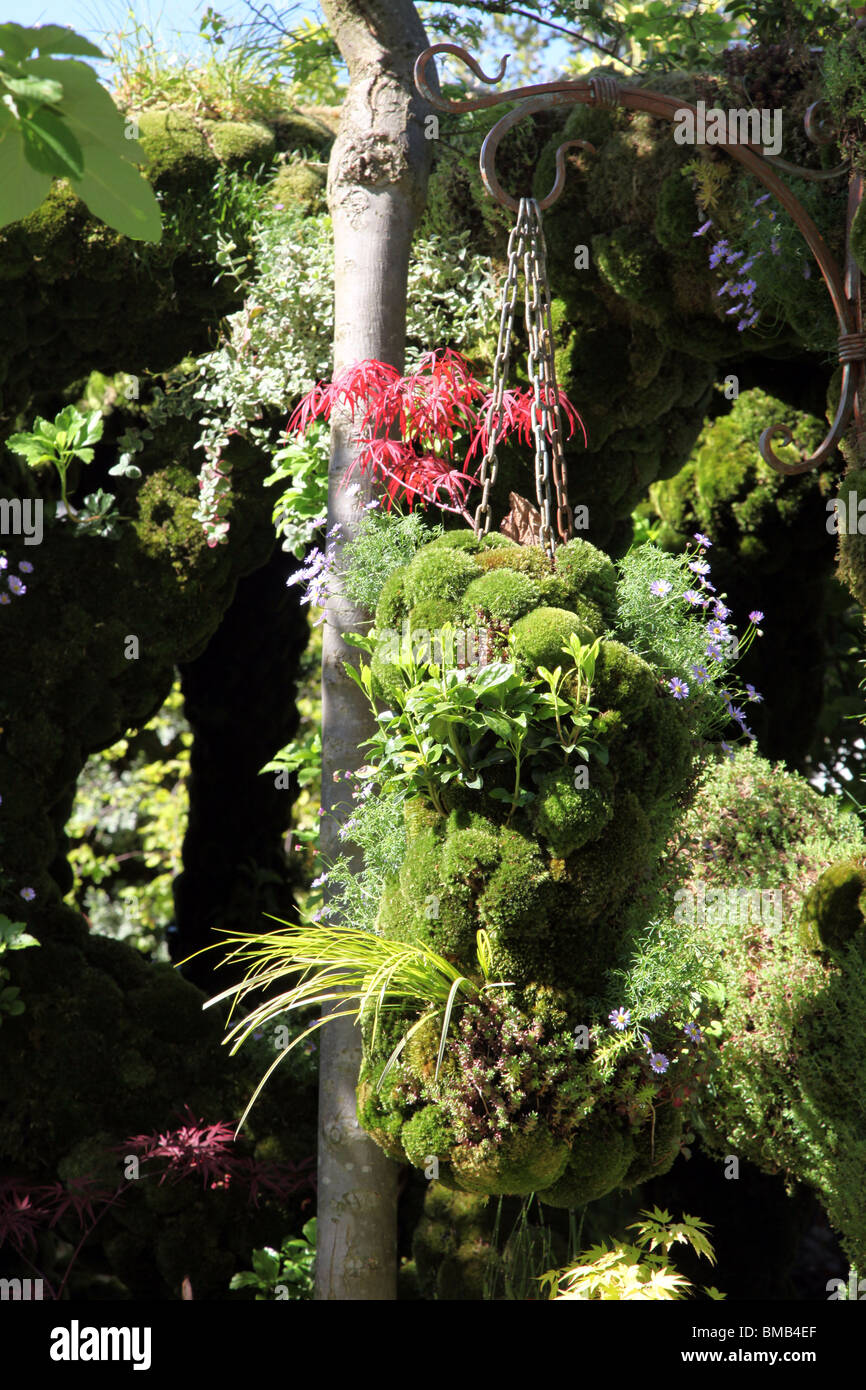 Moss Hanging Basket Chelsea Flower Show 2010 Stock Photo Alamy