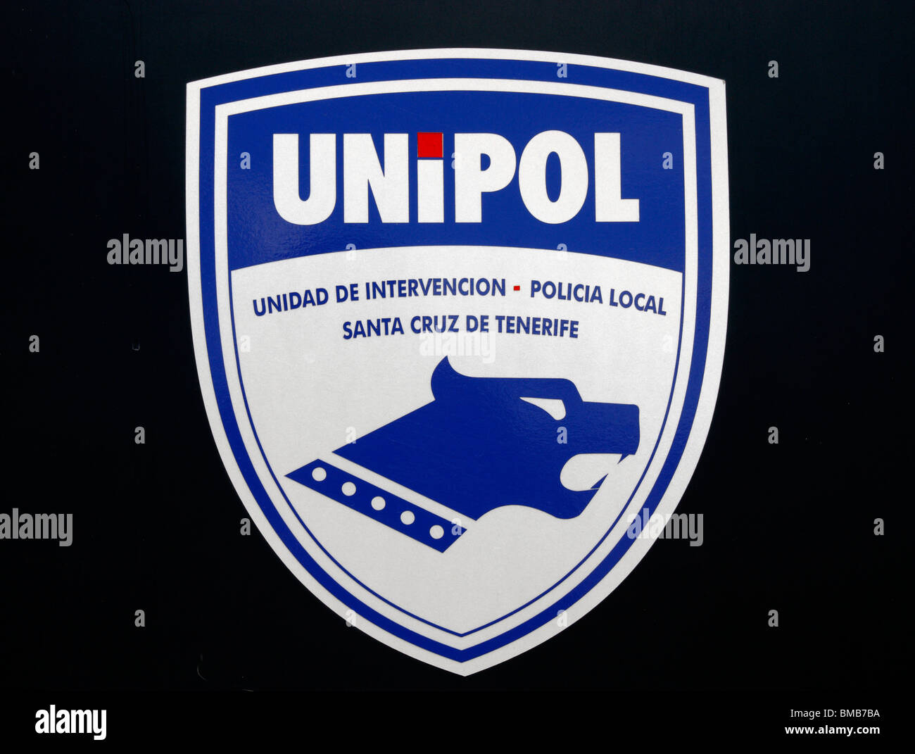 Top 165+ police car logo best camera.edu.vn