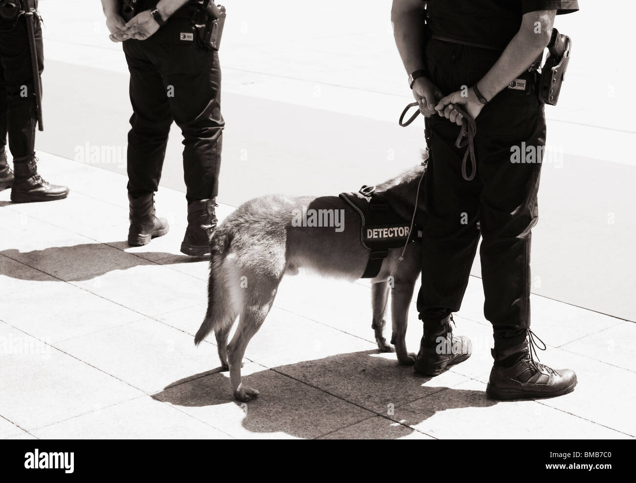 Armed Spanish police with detector dog on parade Stock Photo
