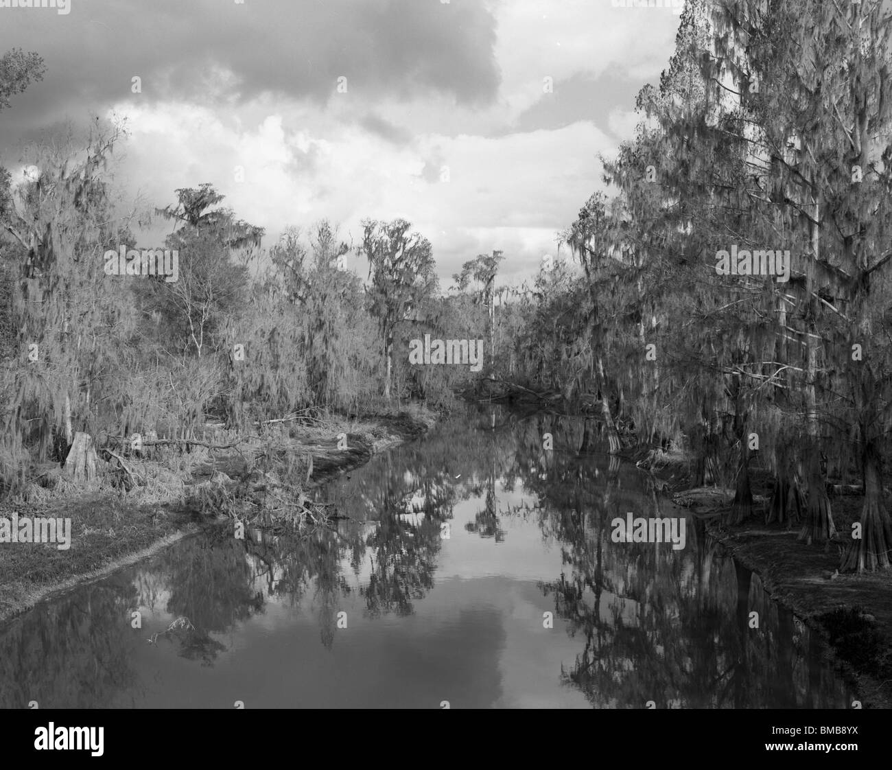 Peace river taken from Bridge, Florida Stock Photo - Alamy