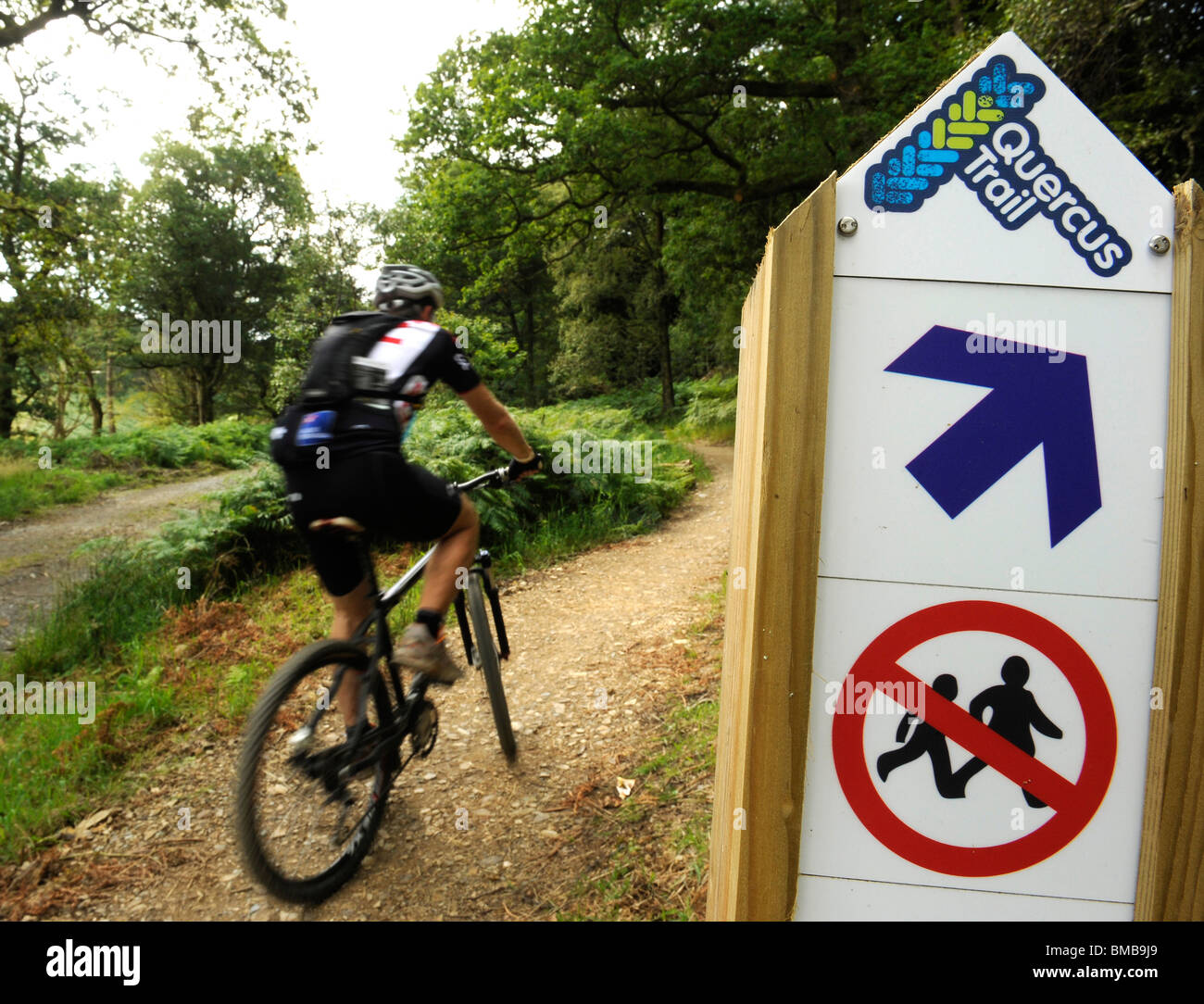 whinlatter bike trails