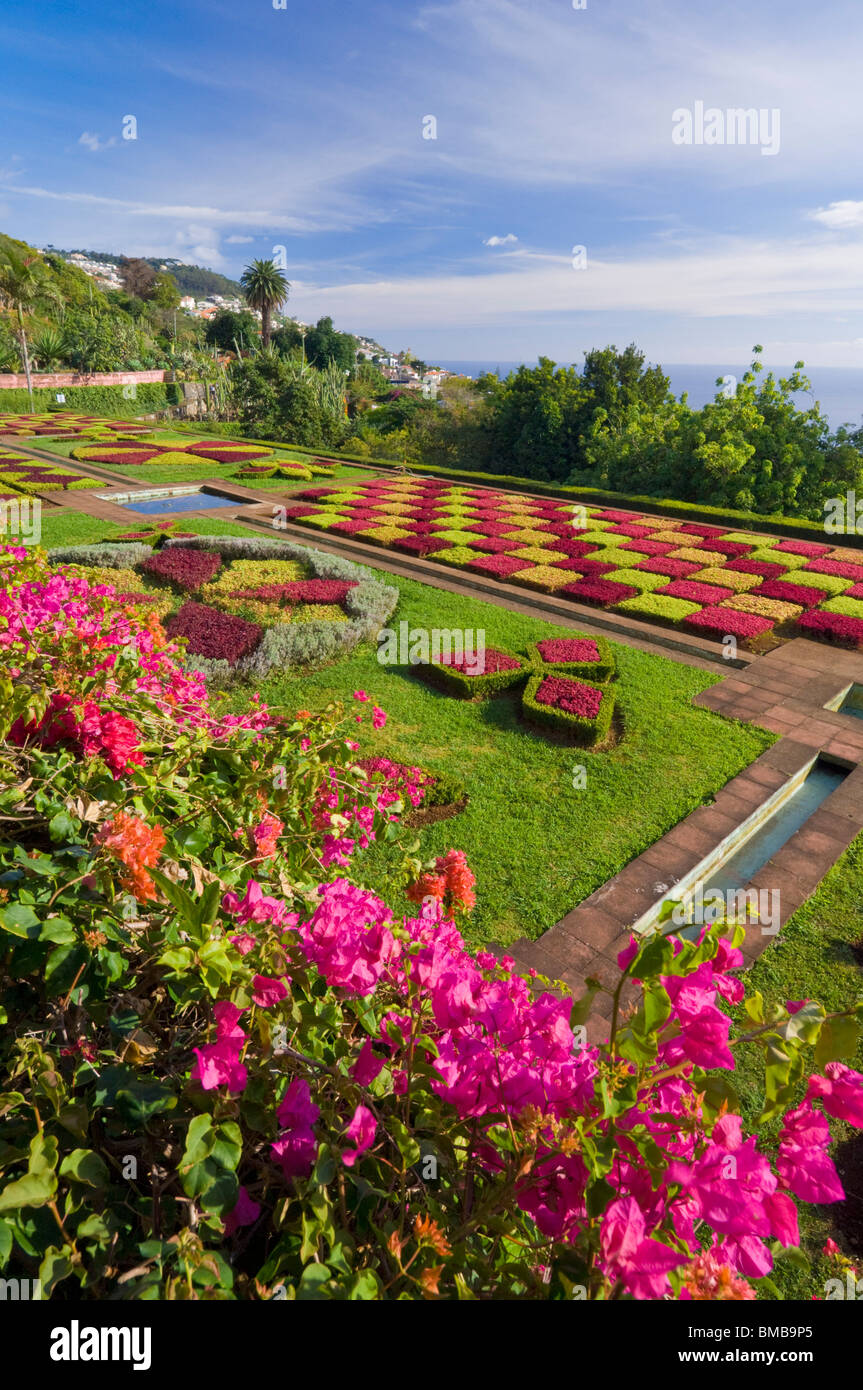 Madeira Funchal Madeira Botanical gardens, Jardim Botanico, above the capital city of Funchal, Madeira, Portugal, EU, Europe Stock Photo