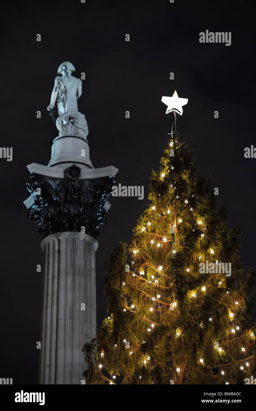 Norwegian Christmas Tree, Trafalgar Square, London, England, UK, Europe, with Nelson's Column in the background Stock Photo