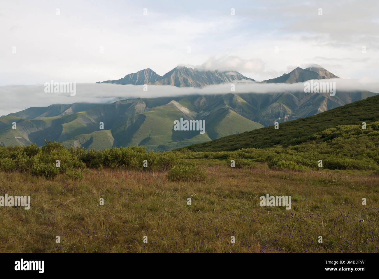 Wrangell land hires stock photography and images Alamy