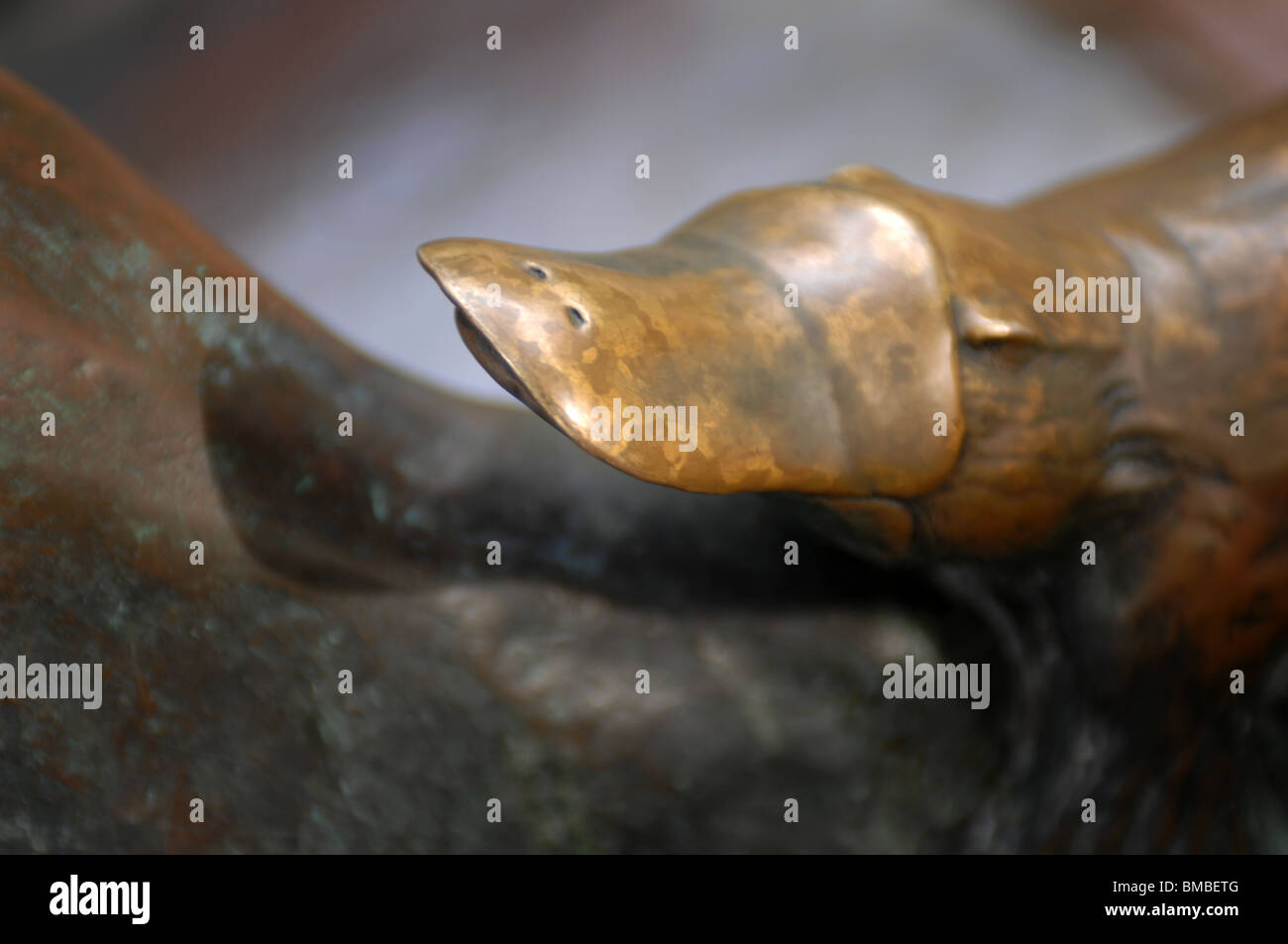Platypus Bronze Sculpture, Botanical Gardens, Brisbane, Queensland