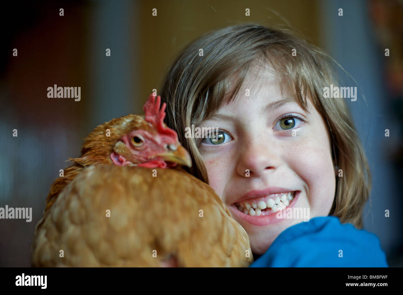 Young girl holding pet chicken Stock Photo Alamy