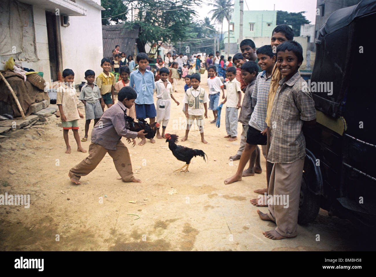A group of children in Ragigudda slum, a shantytown in the southern part of Bangalore, trying to orchestrate a cockfight, in southern India. Stock Photo