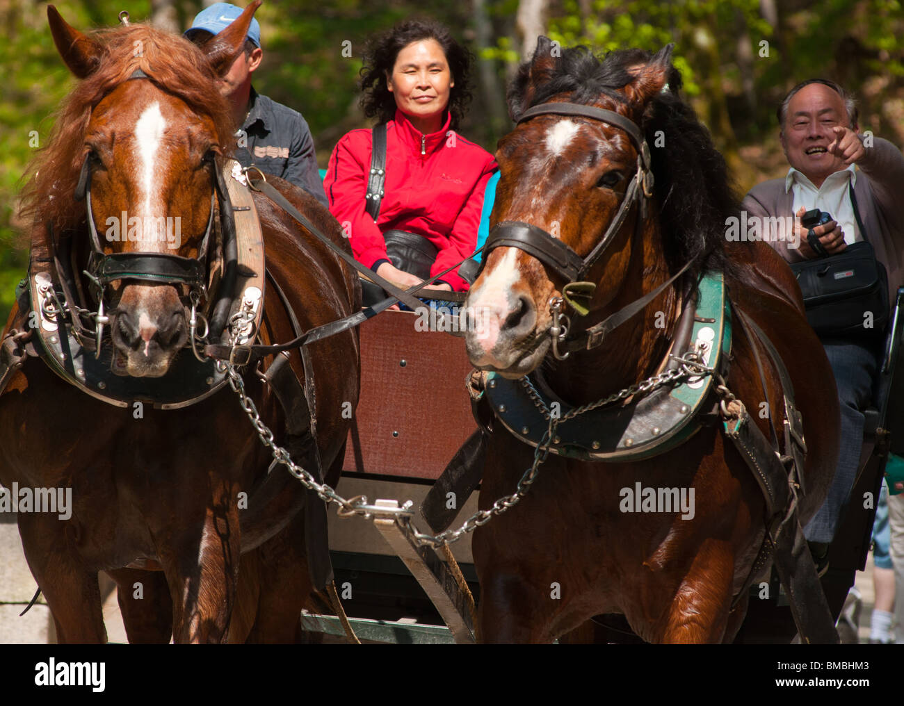 Chinese tourists in Germany enjoying a traditional horse carriage ride near Neuschwanstein Castle. Stock Photo