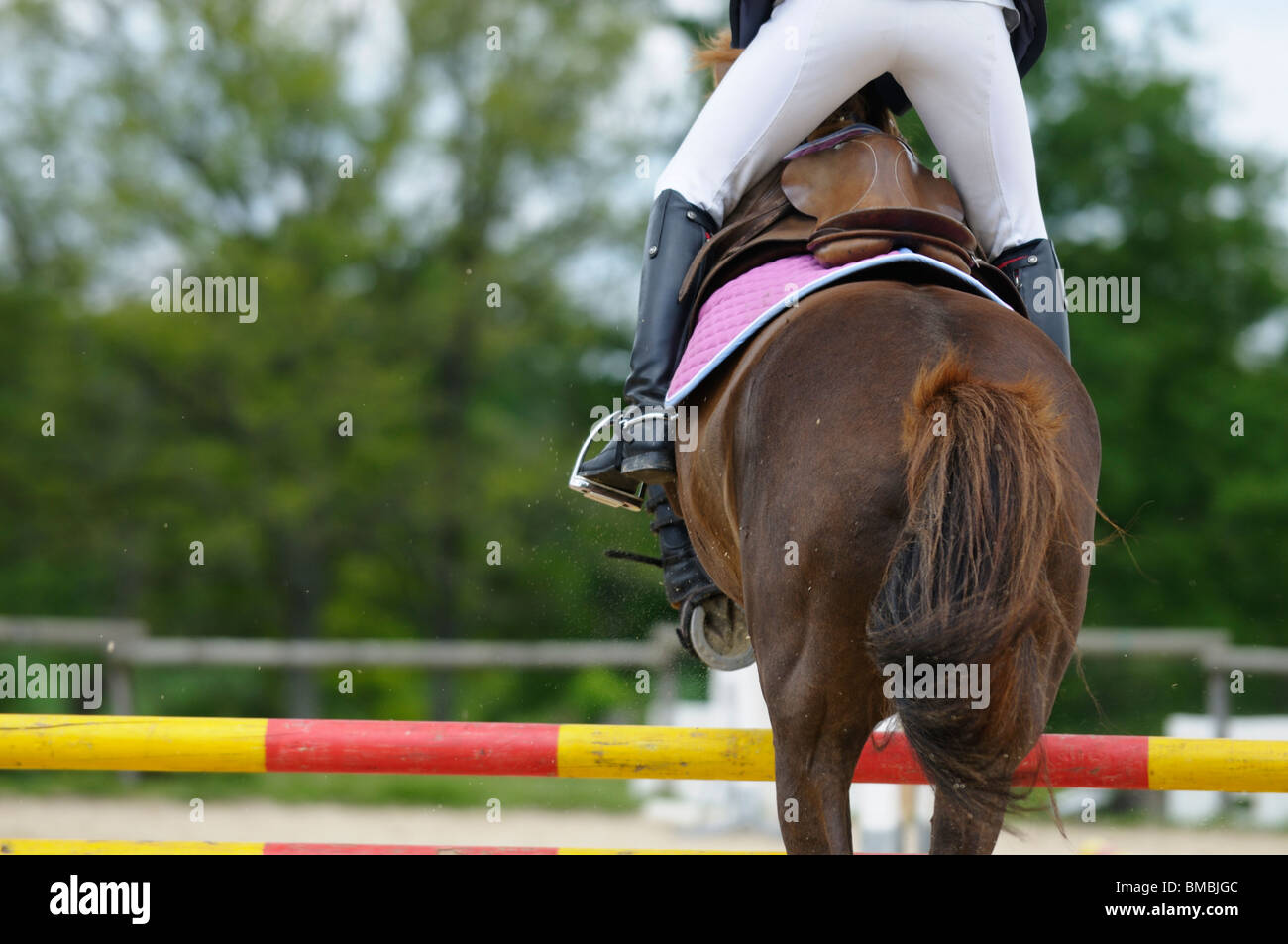Stock photo of a horse and rider taking a jump at a show jumping competition Stock Photo Alamy