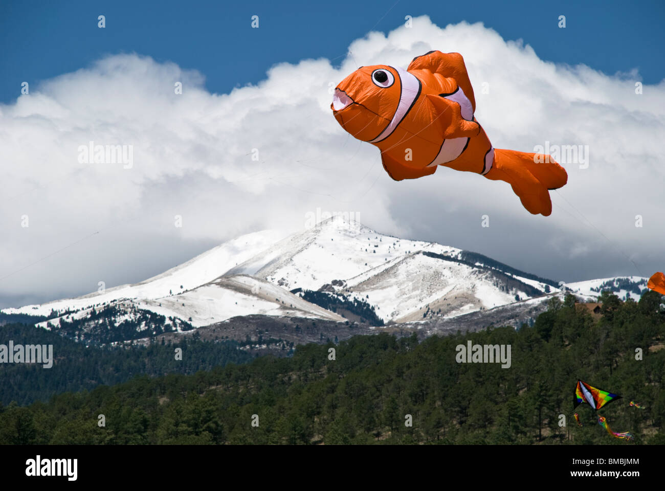 Beautiful kites in the sky fly near Sierra Blanca at the annual Kite