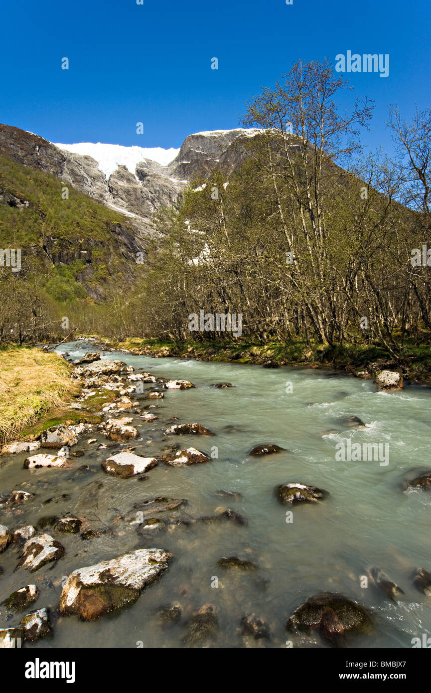 Radkralle hi-res stock photography and images - Alamy