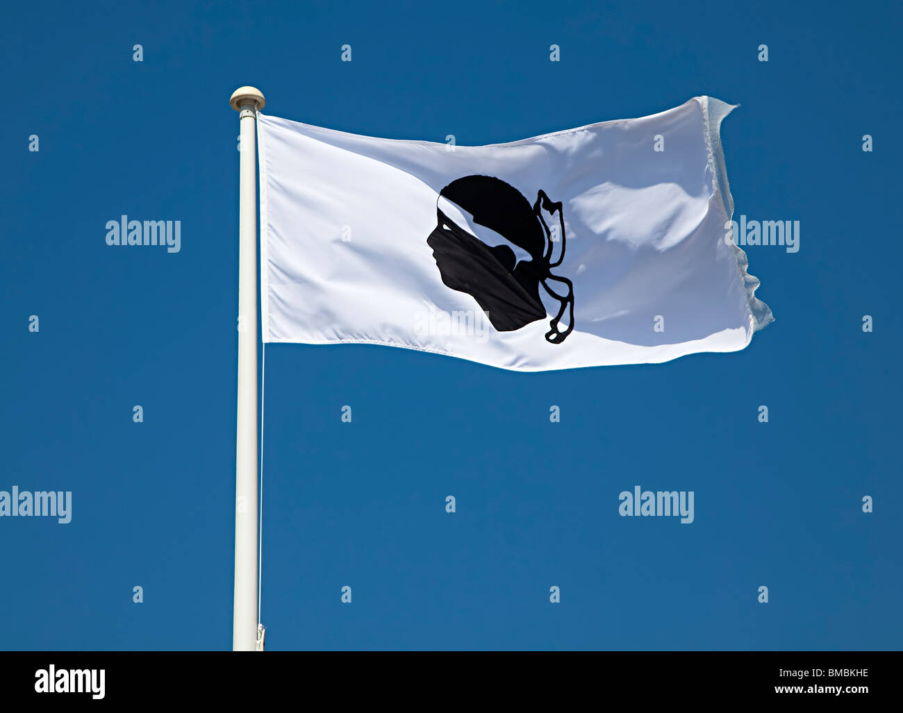 Corsican flag Stock Photo