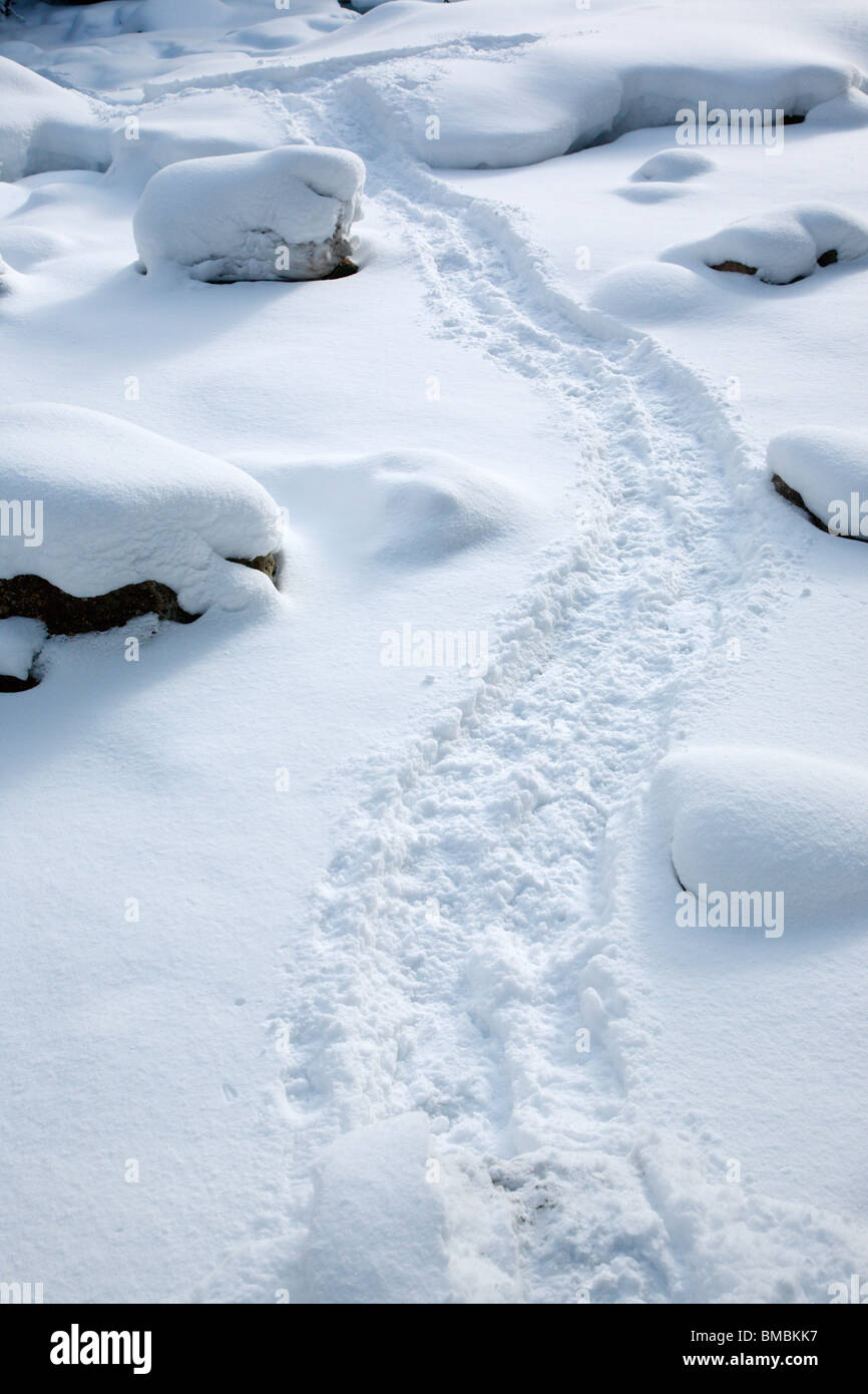Snowshoe tracks on trail in the White Mountains, New Hampshire USA
